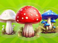 image bg MergeMushrooms: 2048!